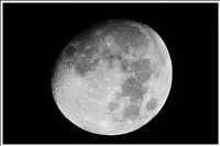 300 mm Brennweite plus 2-fach Canon-Telekonverter