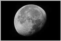 300 mm Brennweite plus 2-fach Canon-Telekonverter