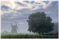 Herbst