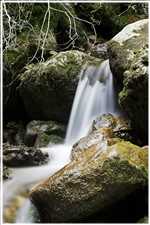 Einzelfoto mit 1000er Graufilter