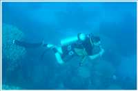 Schnorcheln im Roten Meer (Bild: Doris Kölbl)