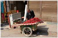 auf den Straßen von Kairo