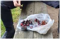 Elbe-Radtour (Bild: Doris Kölbl)