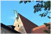 Heide-Radtour (Bild: Doris Kölbl)