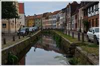 Heide-Radtour (Bild: Doris Kölbl)