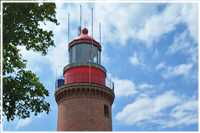 Heide-Radtour (Bild: Doris Kölbl)