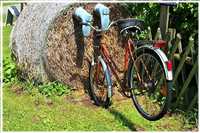 Heide-Radtour (Bild: Doris Kölbl)