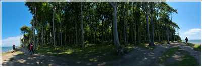 Heide-Radtour (Bild: Doris Kölbl)