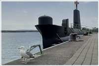 Rügen-Rund (Bild: Doris Kölbl)