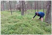 Rügen-Rund (Bild: Doris Kölbl)