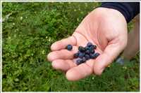 Rügen-Rund (Bild: Doris Kölbl)