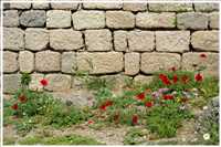 Pergamon (Bild: Doris Kölbl)