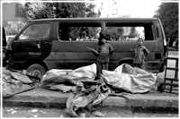 Planwagen (Bild: Doris Kölbl)