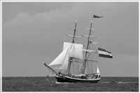 hart am Wind