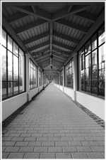 Kollonade