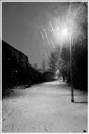 Schneeflockenflug